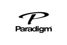 beyond alliance paradigm new logo